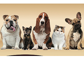 Orillia pet grooming Mimi's Pet Grooming