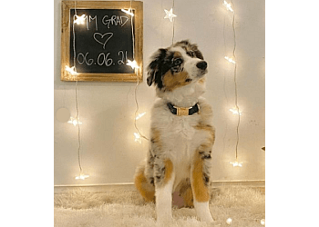 New Westminster dog trainer Mindful Mutts