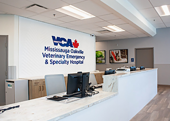 Oakville veterinary clinic Mississauga Oakville Veterinary Emergency Hospital