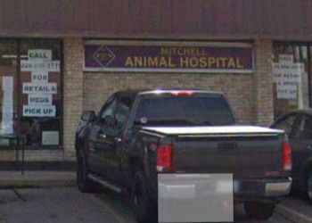 Mitchell Animal Hospital