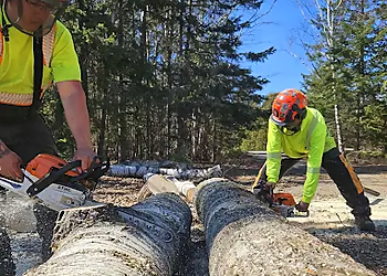 Mitigoog Solutions Inc. - Thunder Bay, ON Tree Services - Team Working Image