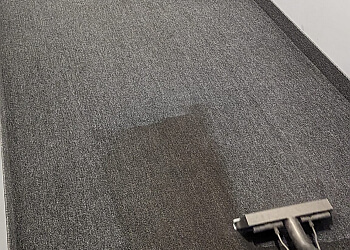 Saint Jerome Nettoyage De Tapis Mlle Nettoie-Tout