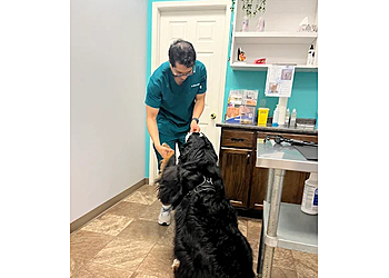 Belleville veterinary clinic Moira Veterinary Clinic