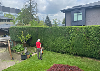 Vancouver tree service Monkey Tree Services Ltd.