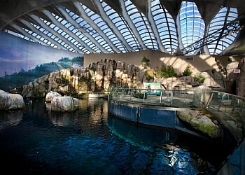 Montreal places to see Montreal Biodome