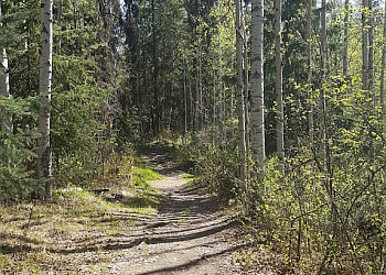 Prince George hiking trail Moore's Meadow Nature Park