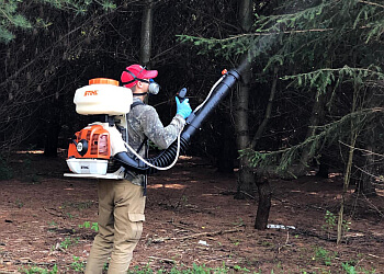 Windsor Services d'extermination de parasites Mosquito Man