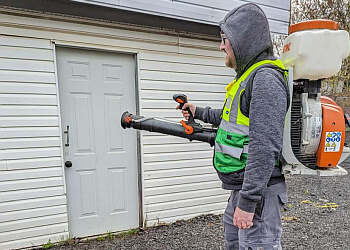 Windsor Services d'extermination de parasites Mosquito Man