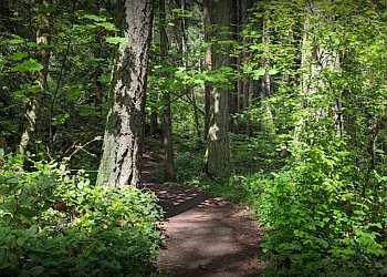 Victoria hiking trail PKOLS (Mount Douglas Park)