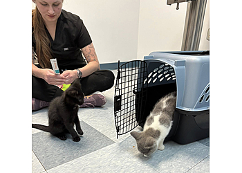 Markham veterinary clinic Mount Joy Animal Clinic