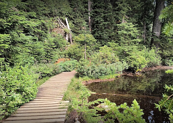 North Vancouver Sentiers De Randonnée  Mount Seymour Park