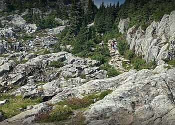 North Vancouver Sentiers De Randonnée  Mount Seymour Park