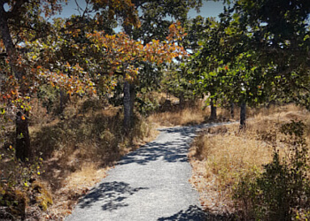 Victoria hiking trail Mount Tolmie Park