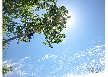 Airdrie Services d'arboriculteur Mountain Country Tree Care