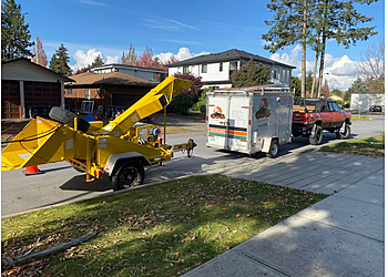 Maple Ridge tree service Mountain View Tree Service