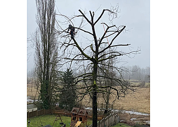 Maple Ridge tree service Mountain View Tree Service