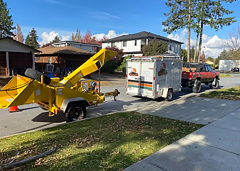 Mountain View Tree Service Inc Mountain View Tree Service Inc - Maple Ridge, BC Tree Services - Truck Image