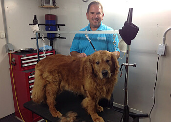 Saint Hyacinthe pet grooming Mousse & Calin