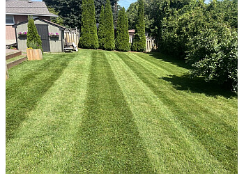 Kitchener lawn care service Mow Town Outdoor Services