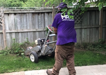 3 Best Lawn Care Services in Toronto, ON - Expert ...