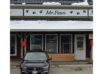 Mr Paws Grooming & Doggy Daycare