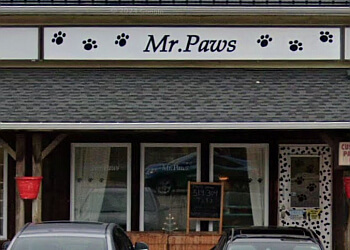Mr Paws Grooming and Daycare