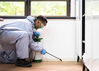 Mr. Pest Control - Orillia - Orillia, ON Pest Control - Pest Inspection Service Image