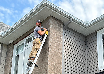 Mr. Pests Control Ottawa & Wildlife Removal  - Ottawa, ON Élimination Des Animaux - Service Image