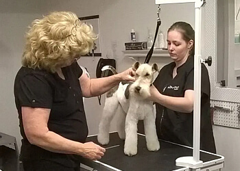 Victoria pet grooming Mucky Mutt Pet Salon