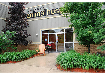 Huntsville veterinary clinic Muskoka Animal Hospital