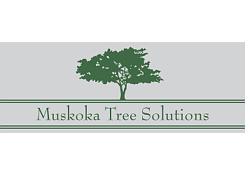 Huntsville tree service Muskoka Tree Solutions
