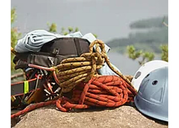 Huntsville Services d'arboriculteur Muskoka Tree Solutions Inc.