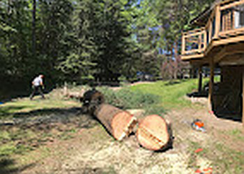 Huntsville Services d'arboriculteur Muskoka Tree Solutions Inc.