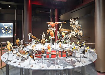 Sherbrooke places to see Musée De La Nature Et Des Sciences De Sherbrooke