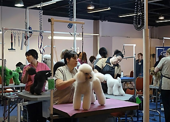 Mutts n' Such Grooming Mutts n' Such Grooming - Nanaimo, BC Pet Grooming - Service Image
