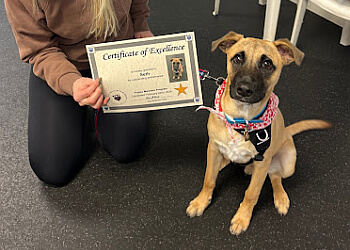 Stouffville pet grooming Muttz with Mannerz