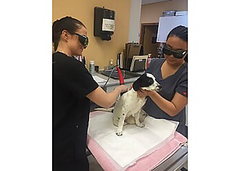 Newmarket veterinary clinic Newmarket Animal Hospital