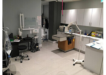 New Westminster veterinary clinic Noble Paw Veterinary Hospital