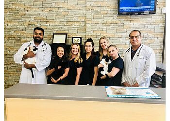 North Vancouver veterinary clinic Norgate Animal Hospital