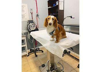 North Vancouver veterinary clinic Norgate Animal Hospital