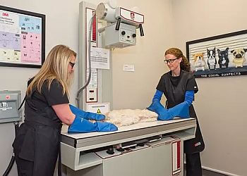 North Vancouver veterinary clinic North Shore Animal Hospital