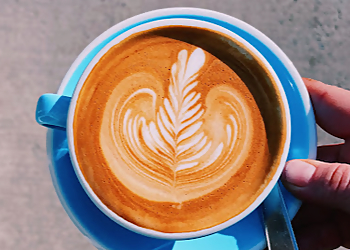 Kingston cafe NORTHSIDE Espresso + kitchen 
