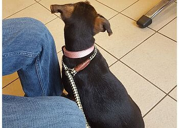 Thunder Bay veterinary clinic Northwestern Veterinary Hospital