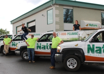 Gatineau Service D'Entretien De Pelouse Pelouse NaturePro