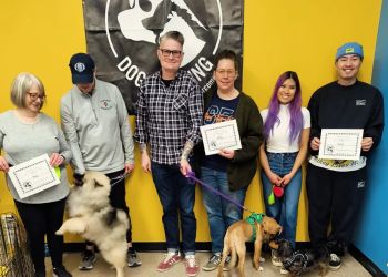 Edmonton dog trainer Naughty Boyz Dog Training Inc.