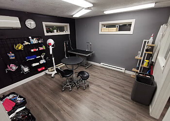 Halifax Salons de Toilettage Pour Animaux De Compagnie Naughty Paw