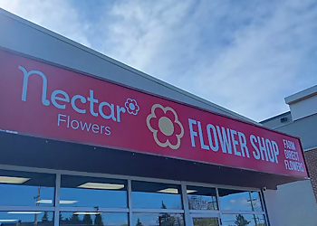 Nectar Flowers - Ottawa, ON Florists - Business Exterior Image