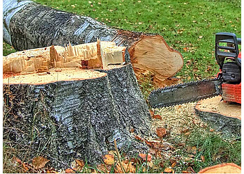 Sherwood Park tree service Neighbours Tree Company Ltd.