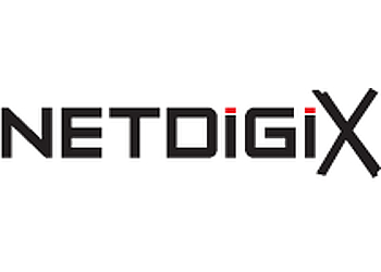 New Westminster it service NetDigix Systems Inc.