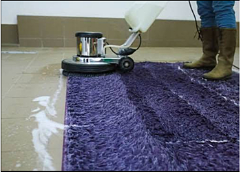 Levis house cleaning service Nettoyage Québec Impec.